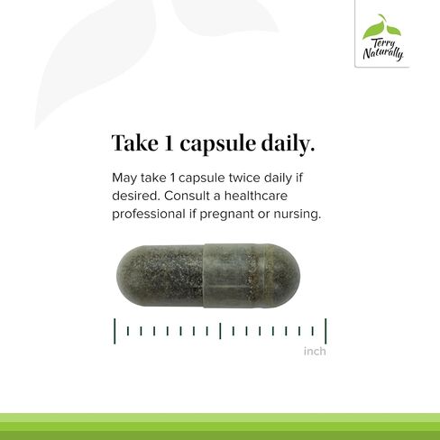 Terry Naturally Andrographis EP80 Extra Strength - Brain Health & Immune Support - Joint Health Supplement to Aid Mobility - Vegan Adaptogen Supplement for Energy & Liver Support - 60 Capsules in Saudi Arabia