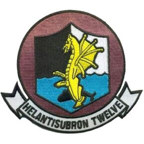 HS-12 Wyverns Squadron Patch-SEW ON in Kuwait