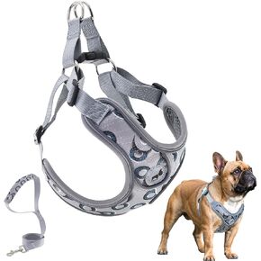 SAEGYPET الكلب Frenchie تسخير مع مجموعة المقود، لا سحب قابل للتعديل خطوة في أطواق الكلاب تسخير مع تنفس مبطن سترة تسخير للكلاب الصغيرة والمتوسطة والكبيرة التدريب والجري (M، رمادي) in Kuwait