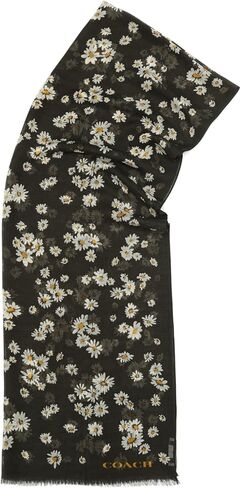 المدرب ديزي كومستر مطبوع مستطيل in Kuwait