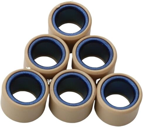 6PC 20x15mm 7g 11g 12g 13g 16g Transmission Roller Weights Fit for 100(Brown) in Saudi Arabia