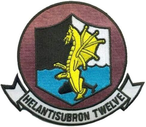HS-12 Wyverns Squadron Patch-SEW ON in Kuwait