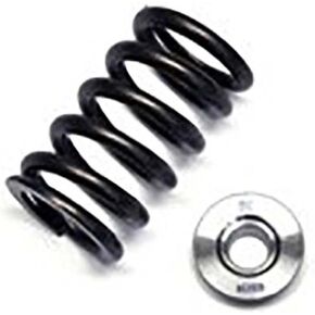 ربيع صمام BC1070 (Honda D16Y8/D16Z6 Single) in Kuwait