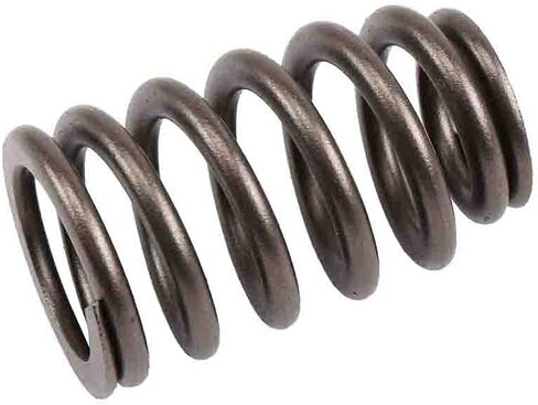 Parts 12592506 Engine Valve Spring in Saudi Arabia