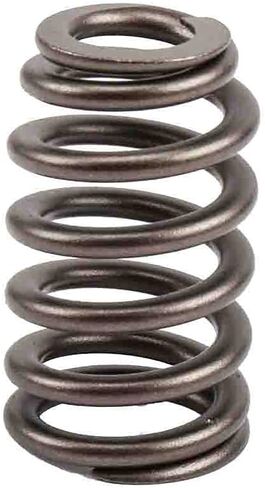 Parts 12592506 Engine Valve Spring in Saudi Arabia