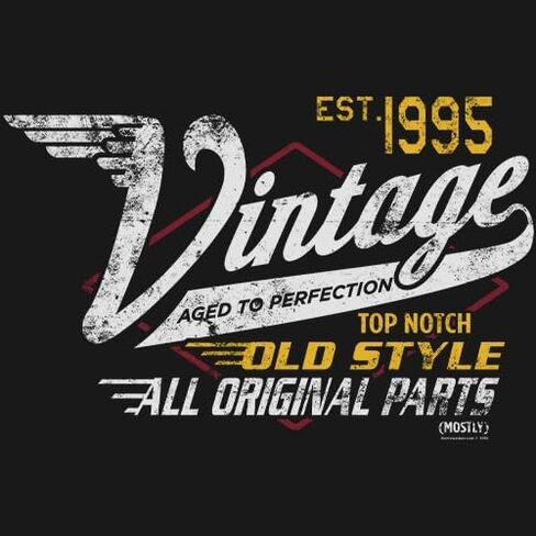 30th Birthday Gift for Men - Vintage 1995 Aged to Perfection - Racing - 30th Birthday Shirt in Saudi Arabia