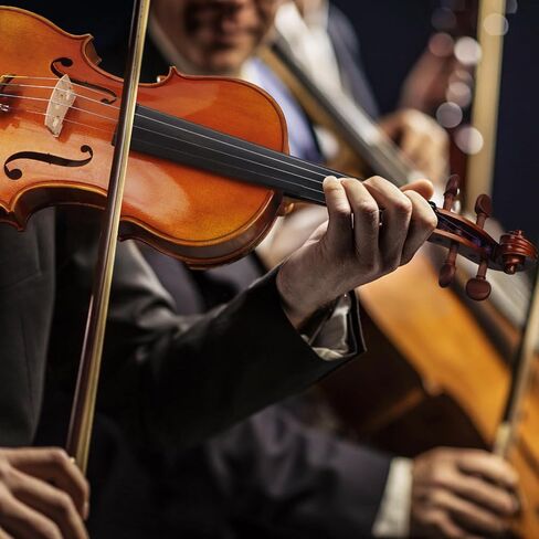 AKLOT Violin Outfit 4/4 Full Size, Spruce Violin and Ebony Fittings, for Professional, with Bow, Rosin, Backpack Strap, Carrying Case in Kuwait