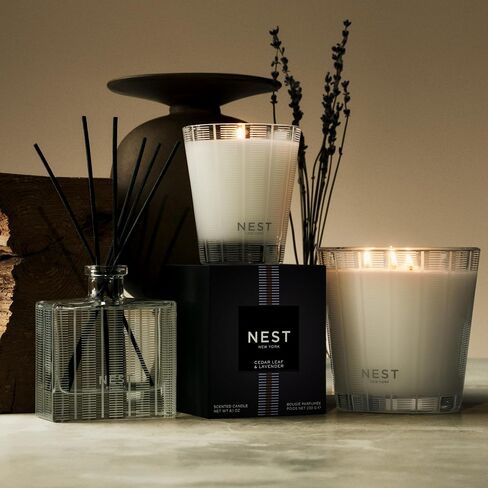 NEST New York Reed Diffuser Liquid Refill Bundle, Bamboo - Includes Three 5.9 fl oz Refill Bottles in Saudi Arabia