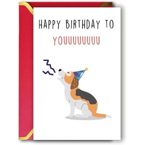 Ziwenhu Funny Internet Dating Card for New Boyfriend, Cute Anniversary Card for Girlfriend, Happy 1 Year Anniversary Card, Valentines Day Gift for Husband Wife…