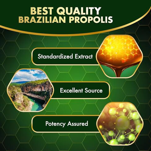 LABO Nutrition Brazilian Green Propolis Ultimate - Contains >7% or 28mg per Serving Artepillin C & >5% Flavonoids, for Immune & Brain Support, Natural, High Concentrate & Premium, 60 Veg Capsules in Kuwait