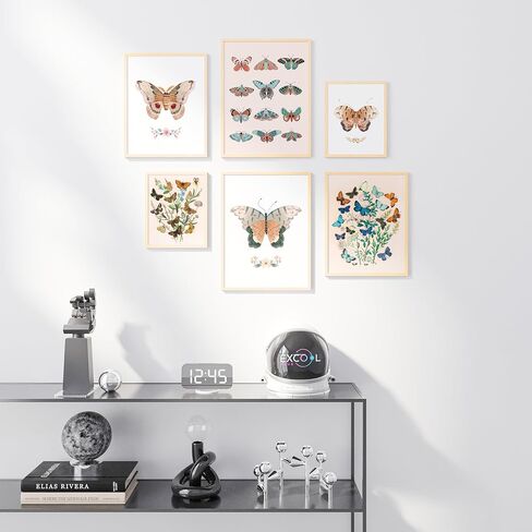 EXCOOL CLUB Rainbow Nursery Decor - 12x16 Rainbow Decor for Girls Bedroom, Rainbow Wall Art Prints Pictures, Neutral Wildflower Rainbow Boho Posters for Baby Kids Classroom Decorations (UNFRAMED) in Saudi Arabia