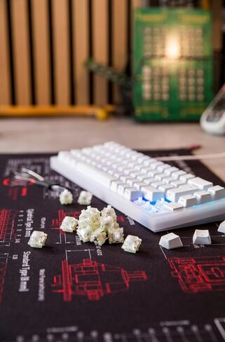 Cherry MX RGB Switch Kit, Box with 23 Mechanical Keyboard Switches, for DIY, Hot Swap or Gaming Keyboard (MX Green) in Saudi Arabia