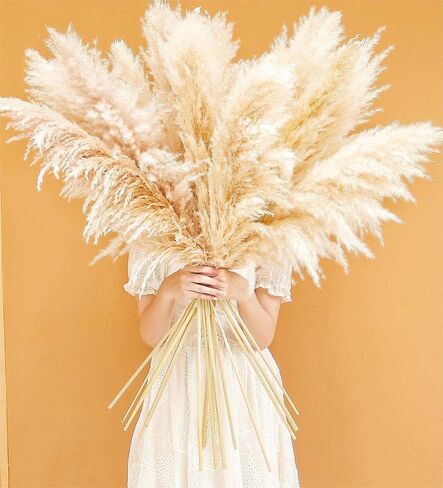 46" inch 10 Stems Natural Pampas Grass Decor Tall, Pompas Grass, Tall Pampas Grass for Weddingm, Farmhouse, Boho Home Decor (Beige) in Saudi Arabia