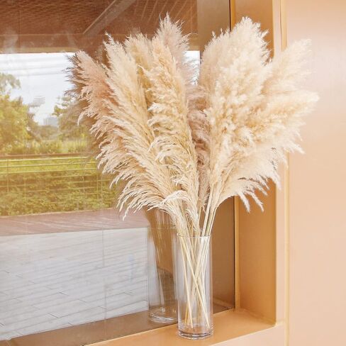 46" inch 10 Stems Natural Pampas Grass Decor Tall, Pompas Grass, Tall Pampas Grass for Weddingm, Farmhouse, Boho Home Decor (Beige) in Saudi Arabia