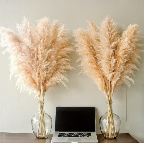 46" inch 10 Stems Natural Pampas Grass Decor Tall, Pompas Grass, Tall Pampas Grass for Weddingm, Farmhouse, Boho Home Decor (Beige) in Saudi Arabia