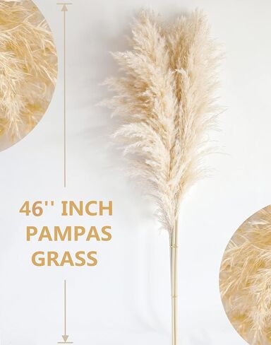 46" inch 10 Stems Natural Pampas Grass Decor Tall, Pompas Grass, Tall Pampas Grass for Weddingm, Farmhouse, Boho Home Decor (Beige) in Saudi Arabia