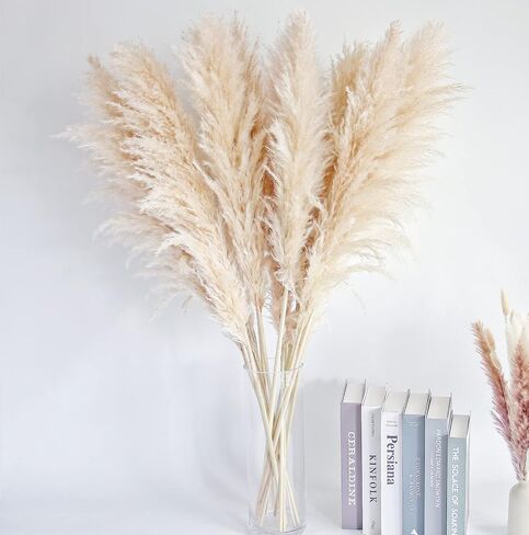 46" inch 10 Stems Natural Pampas Grass Decor Tall, Pompas Grass, Tall Pampas Grass for Weddingm, Farmhouse, Boho Home Decor (Beige) in Saudi Arabia