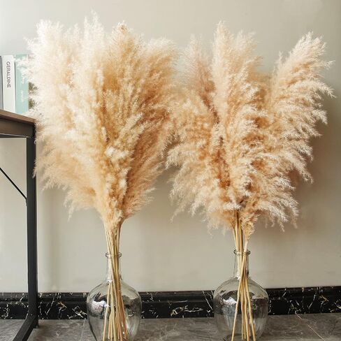 46" inch 10 Stems Natural Pampas Grass Decor Tall, Pompas Grass, Tall Pampas Grass for Weddingm, Farmhouse, Boho Home Decor (Beige) in Saudi Arabia