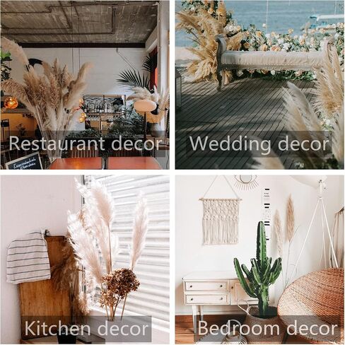 46" inch 10 Stems Natural Pampas Grass Decor Tall, Pompas Grass, Tall Pampas Grass for Weddingm, Farmhouse, Boho Home Decor (Beige) in Saudi Arabia
