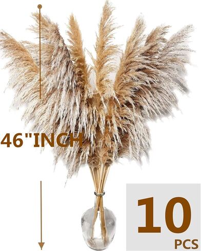 46" inch 10 Stems Natural Pampas Grass Decor Tall, Pompas Grass, Tall Pampas Grass for Weddingm, Farmhouse, Boho Home Decor (Beige) in Saudi Arabia