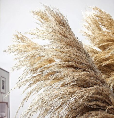 46" inch 10 Stems Natural Pampas Grass Decor Tall, Pompas Grass, Tall Pampas Grass for Weddingm, Farmhouse, Boho Home Decor (Beige) in Saudi Arabia