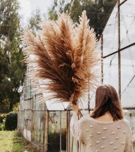46" inch 10 Stems Natural Pampas Grass Decor Tall, Pompas Grass, Tall Pampas Grass for Weddingm, Farmhouse, Boho Home Decor (Beige) in Saudi Arabia