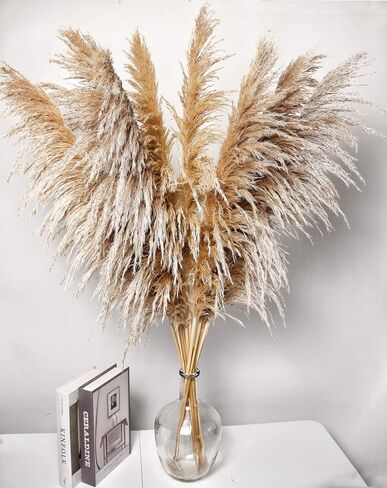 46" inch 10 Stems Natural Pampas Grass Decor Tall, Pompas Grass, Tall Pampas Grass for Weddingm, Farmhouse, Boho Home Decor (Beige) in Saudi Arabia