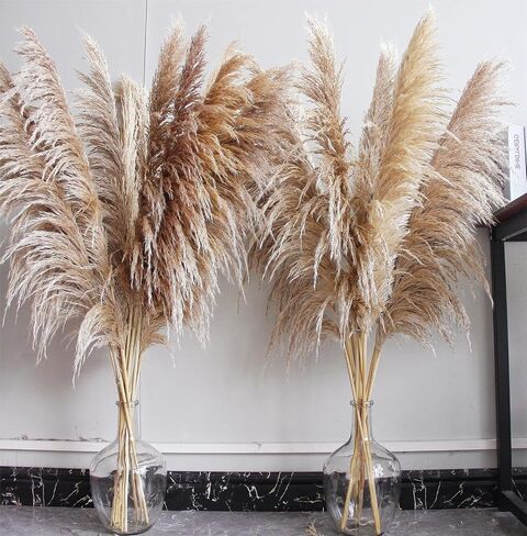 46" inch 10 Stems Natural Pampas Grass Decor Tall, Pompas Grass, Tall Pampas Grass for Weddingm, Farmhouse, Boho Home Decor (Beige) in Saudi Arabia