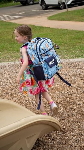 AI ACCESSORY INNOVATIONS Bluey & Bingo Backpack for Girls & Boys, Multi Pocket Bookbag with Adjustable Shoulder Straps & Padded Back, Blue in Saudi Arabia