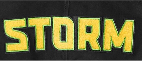 Mens WNBA Classic Chenille Pull Over Hoodie in Saudi Arabia