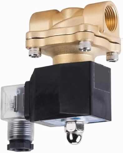 Electric Solenoid Valve, 1/4" to 2" Brass, IP65 Waterproof, Multiple Voltage Options, for Water Oil Air (DN50 DC12V) in Saudi Arabia