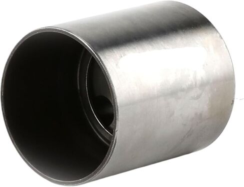 Disassembled F00F016007 F 00F 016 007 Common Rail Fuel Pump Roller CP4 Series Compatible For 0445010511 Pump in Saudi Arabia