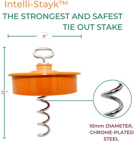 Heavy Duty Tie-Out Stake: Surface-Lock Technology for Pulling and Bending Prevention, 360-Degree Swivel Ring, Weather-Resistant Coating for Maximum Durability and Tangle-Free Design in Saudi Arabia