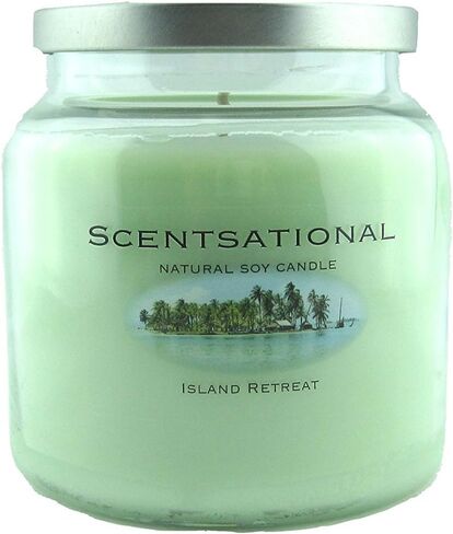 Scentsational Soaps & Candles "Pumpkin Spice" Natural Soy Candle w/Lid 19 Oz in Saudi Arabia