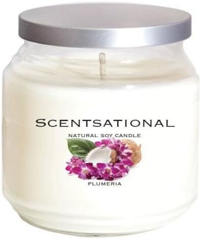 Scentsational Soaps & Candles "Pumpkin Spice" Natural Soy Candle w/Lid 19 Oz in Saudi Arabia
