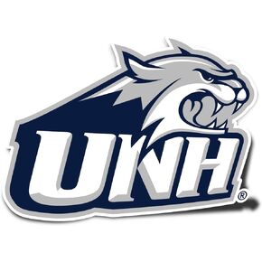 Desert Cactus University of New Hampshire UNH Wildcats Vinyl Decal Laptop Water Bottle Car Scrapbook Sticker (IND 004)