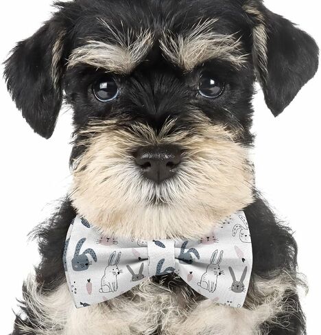 Adjustable Pre-tied bow tie for toddler Boys (Cute Bunnies Carrots Pattern) Elegant Cute Bowties for Dogs Cats Pets in Saudi Arabia