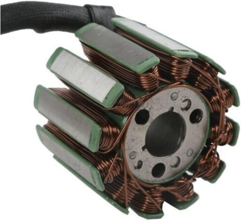 Magneto Generator Engine Stator Coil يناسب مجموعة FZ1 in Saudi Arabia