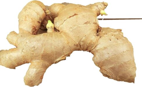 Fresh Ginger Root - 1lb in Saudi Arabia