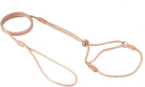 Alvalley Martingale Dog Leash with Collar - Soft, Nylon Leash for Dogs - Comes with Tagua Bead Stopper - Perfect for Small, Medium Dogs - Suitable for Training & Walking in Saudi Arabia
