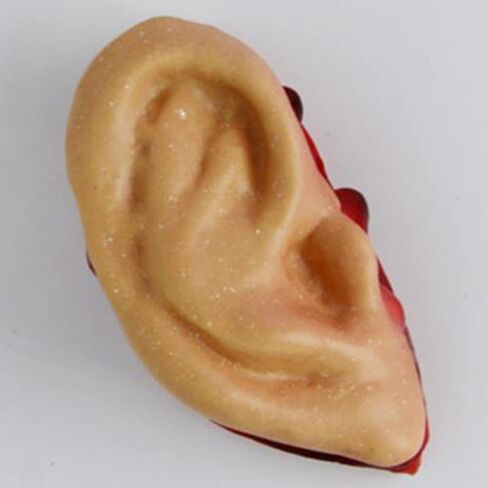 20pcs Costume Simulative Severed Ear Color for Body Ears Props Decorative Party Organ Simulation Horrible House Hlloween Skin Creepy Haunted Blood Adornment Human Halloween in Kuwait