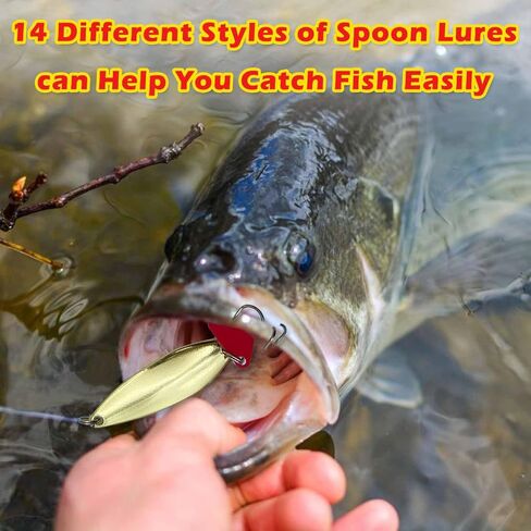24 Pcs Fishing Bait Lures Kit, Tackle Box with Tackle Included,Minnow, VIB, Spoons, Molds, Hooks,Weights Other Accessories, Freshwater Bass Fishing Lure Set for Beginner and Experienced in Saudi Arabia