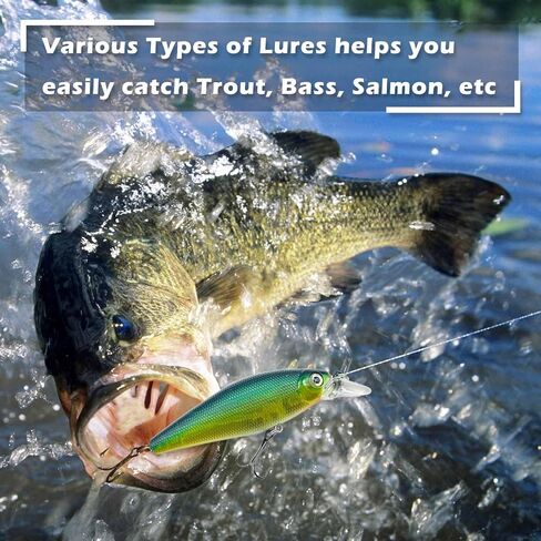 24 Pcs Fishing Bait Lures Kit, Tackle Box with Tackle Included,Minnow, VIB, Spoons, Molds, Hooks,Weights Other Accessories, Freshwater Bass Fishing Lure Set for Beginner and Experienced in Saudi Arabia