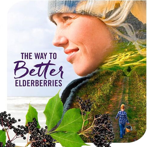 Nature’s Way Sambucus Zero Sugar Syrup التقليدية المناعية ، مستخلص البري الأسود للغاية ، الدعم المناعي التقليدي*، خالي من السكر ، بنكهة التوت ، 8 أوقية (التغليف قد تختلف) in Kuwait