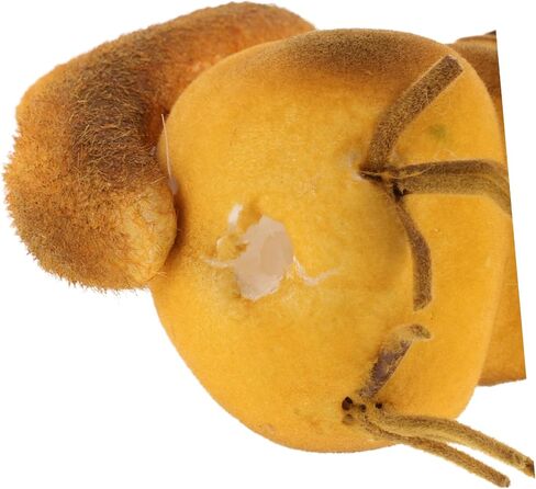 2Pcs Cute Squirrel Car Antenna Toppers - Stylish and Fun Decorative Antenna Balls for Vehicle Exterior, Perfect for Personalizing Your Car in Saudi Arabia