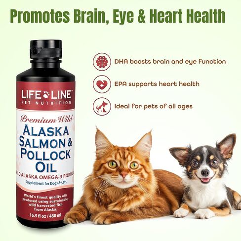 Wild Alaska Omega-3 Formula 26oz in Saudi Arabia
