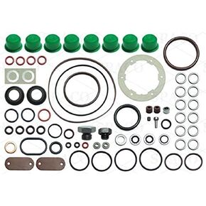 Repair Gasket/Seal Kit for Roosa Master Stanadyne Diesel Fuel Injection Pump in Saudi Arabia