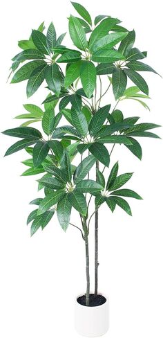 Artificial Money Tree - 6 FT TallFake Tree with Pot - Large Faux Plants Indoor, Lifelike Branches & Foliage - Artificial Plants for Home Office Living Room Decor Indoor in Kuwait