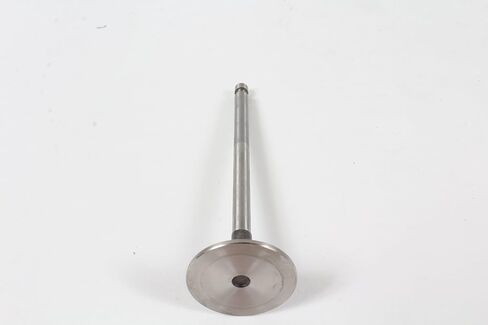 Kohler 20 016 01-S VALVE, EXHAUST in Saudi Arabia