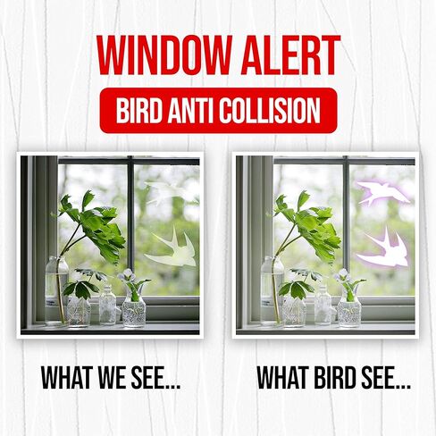 Anti-Collision Window Bird Stickers Decals by Decords - Protect Birds from Window Collisions - Made in Europe Window Decals for Bird Strikes - Easy to Peel and Stick, 2 Years Warranty in Kuwait